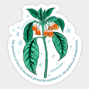 the practice of love is the most powerful antidote to the politics of domination Sticker